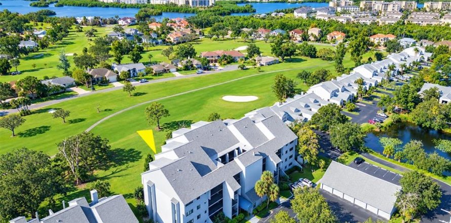 Condo in Seminole, Florida, 2 bedrooms  № 2395931