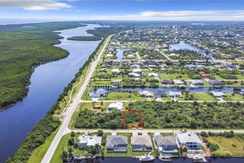 Land in Port Charlotte, Florida № 2214441 - photo 2