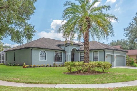Villa ou maison à vendre à Valrico, Floride: 4 chambres, 207.54 m2 № 2149983 - photo 2