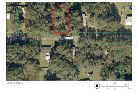 Land in Ocklawaha, Florida № 2277717