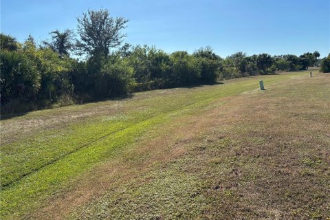 Land in Port Charlotte, Florida № 2162707 - photo 3