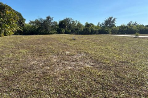 Land in Port Charlotte, Florida № 2162707 - photo 2