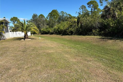 Land in Port Charlotte, Florida № 2162707 - photo 4