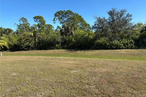 Land in Port Charlotte, Florida № 2162707 - photo 5