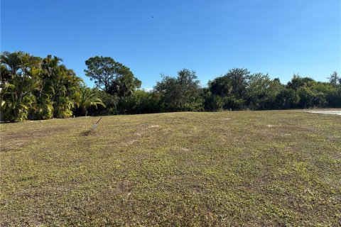 Land in Port Charlotte, Florida № 2162707