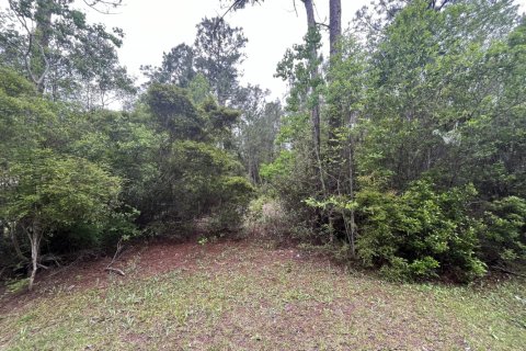 Land in Freeport, Florida № 559445 - photo 1