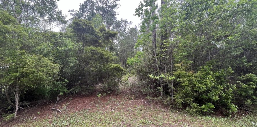 Land in Freeport, Florida № 559445