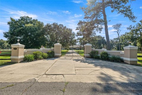 Villa ou maison à vendre à Ocala, Floride: 4 chambres, 472.87 m2 № 2324339 - photo 6