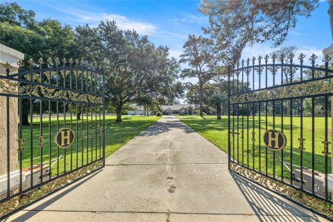 Villa ou maison à vendre à Ocala, Floride: 4 chambres, 472.87 m2 № 2324339 - photo 7