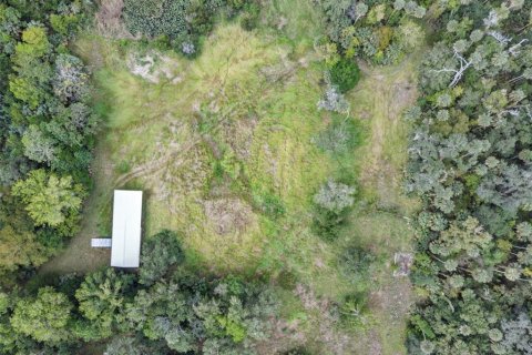 Terrain à vendre à Astor, Floride № 2128486 - photo 6