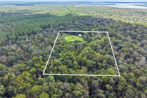 Terrain à vendre à Astor, Floride № 2128486 - photo 21