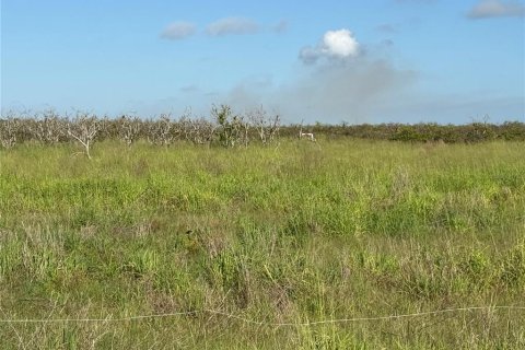 Terrain à vendre à Arcadia, Floride № 2230811 - photo 6