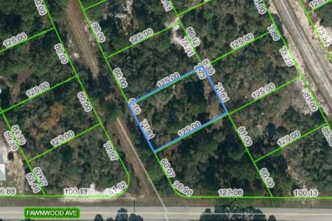Land in Lake Placid, Florida № 2223940