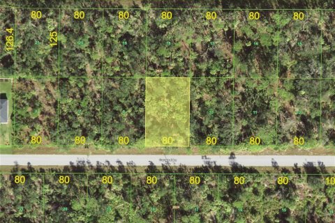 Land in Port Charlotte, Florida № 2159584