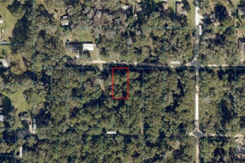 Land in Belleview, Florida № 2159640