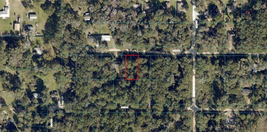 Land in Belleview, Florida № 2159640