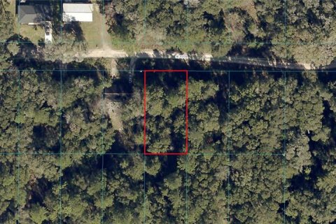 Land in Belleview, Florida № 2159640 - photo 2