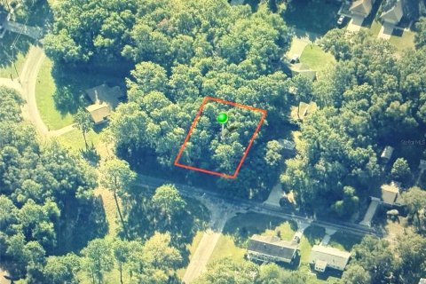 Land in Citrus Springs, Florida № 2164707 - photo 3
