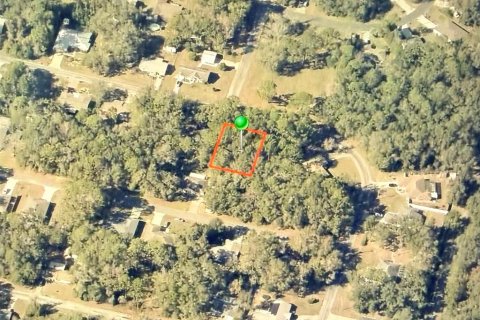 Land in Citrus Springs, Florida № 2164707 - photo 2