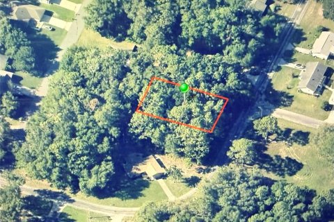 Land in Citrus Springs, Florida № 2164707