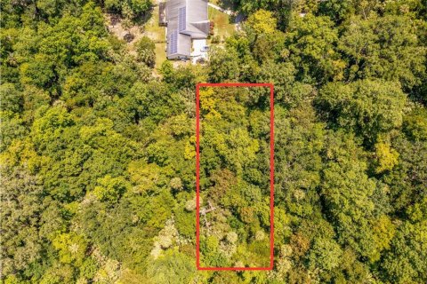 Land in Oviedo, Florida № 1827773 - photo 1