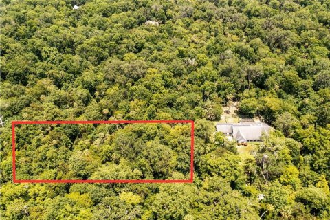 Land in Oviedo, Florida № 1827773 - photo 2