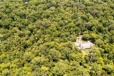 Land in Oviedo, Florida № 1827773 - photo 4