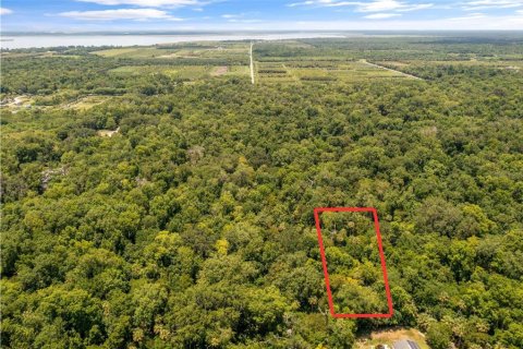 Land in Oviedo, Florida № 1827773 - photo 3