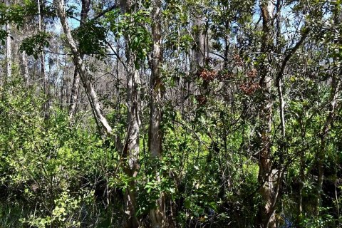 Land in Port St. Lucie, Florida № 1849062 - photo 1