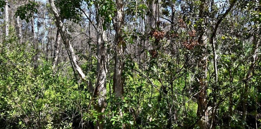 Land in Port St. Lucie, Florida № 1849062