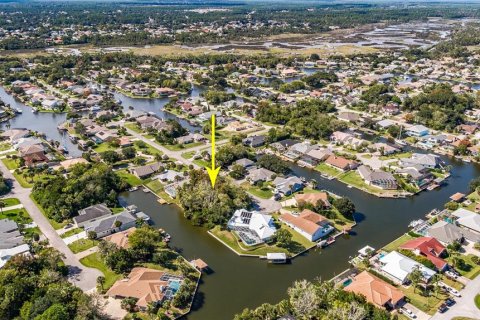 Land in Palm Coast, Florida № 302225 - photo 9