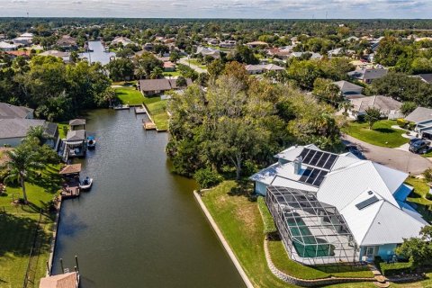 Land in Palm Coast, Florida № 302225 - photo 16