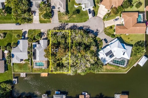 Land in Palm Coast, Florida № 302225 - photo 2