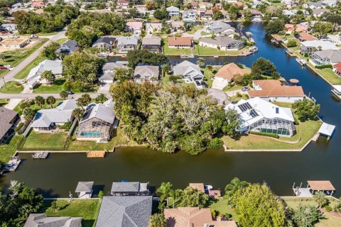 Land in Palm Coast, Florida № 302225 - photo 11