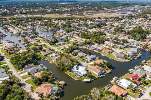 Land in Palm Coast, Florida № 302225 - photo 8