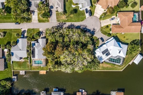 Land in Palm Coast, Florida № 302225 - photo 17