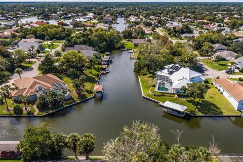 Land in Palm Coast, Florida № 302225 - photo 15