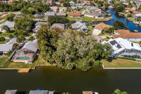 Land in Palm Coast, Florida № 302225 - photo 12