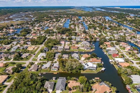 Land in Palm Coast, Florida № 302225 - photo 10