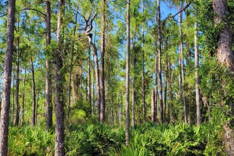 Propiedad comercial en venta en Lehigh Acres, Florida № 2158446 - foto 3
