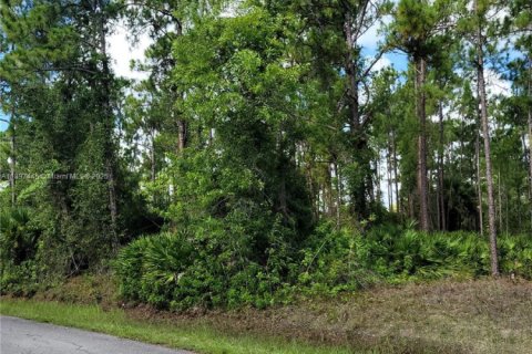Propiedad comercial en venta en Lehigh Acres, Florida № 2158446 - foto 4