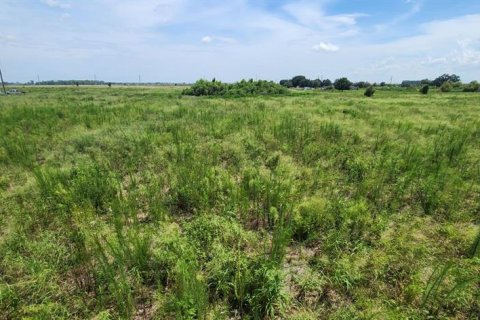 Land in Bartow, Florida № 2237205 - photo 6
