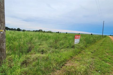 Land in Bartow, Florida № 2237205 - photo 4