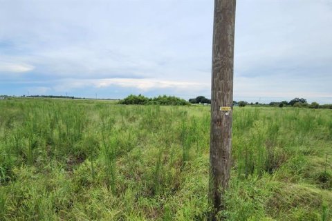 Land in Bartow, Florida № 2237205 - photo 3