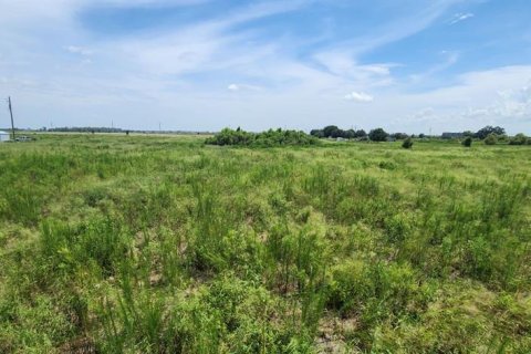 Land in Bartow, Florida № 2237205
