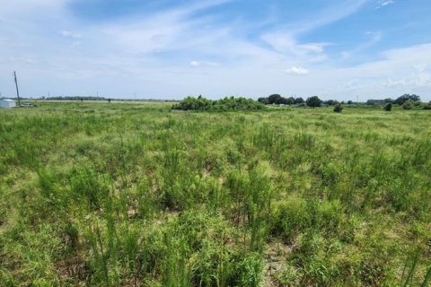 Land in Bartow, Florida № 2237205 - photo 2