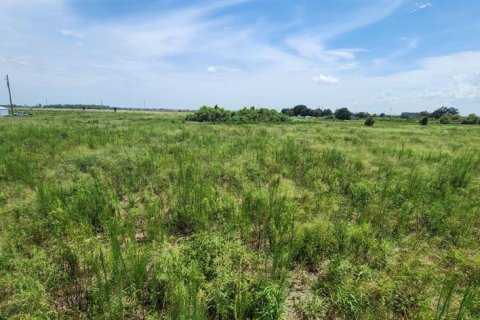 Land in Bartow, Florida № 2237205 - photo 5