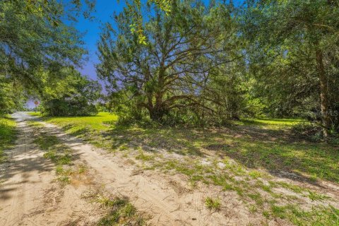Terreno en venta en Flagler Beach, Florida № 1900503 - foto 6