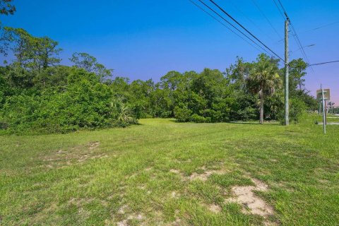 Terreno en venta en Flagler Beach, Florida № 1900503 - foto 2