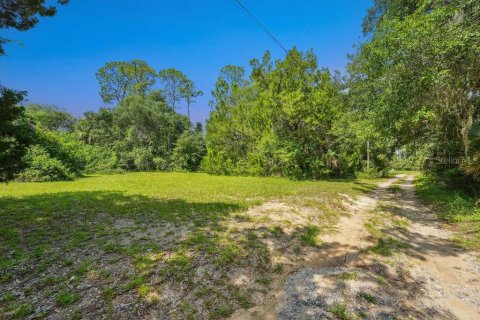 Terreno en venta en Flagler Beach, Florida № 1900503 - foto 5